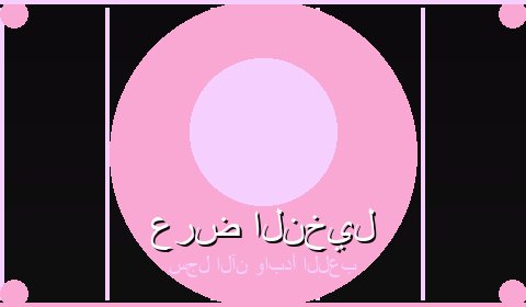 عروض حصرية